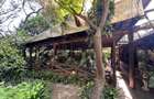 4 Bed House with En Suite in Muthaiga - 15