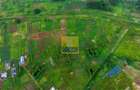 Land in Tigoni - 2