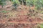 Commercial Property in Kiambu Road - 5