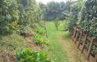 5 Bed Townhouse with En Suite at Kibiko - 8
