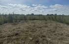 Land in Kangundo - 4