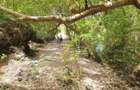 7 ac Land in Watamu - 3