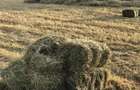 33 ac Land at Ol Kalou - 7