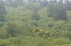 Land at Ruiru - 3