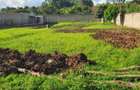 Land at Karen Plains - 6