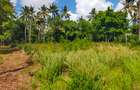 Land in Kilifi County - 18