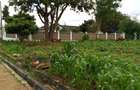 0.5 ac Land in Tigoni - 1