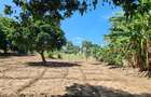 3 ac Land at Mtwapa - 7