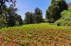 Land in Kitisuru - 6