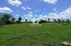 0.5 ac Land in Nanyuki - 3