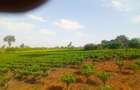 4.8 ac Land in Limuru - 3