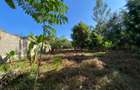 0.587 ac Land at Shanzu Road - 2