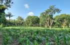 1 ac Land at Mtwapa - 3