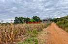 0.125 ac Residential Land in Kamangu - 15