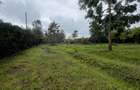 1 ac Land in Karen Hardy - 3