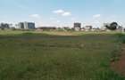 Land at Ruiru - 15