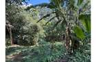 0.6 ac Land at Kitisuru Road - 4