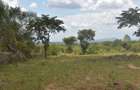 0.05 ha Land at Tumaini Estate - 13