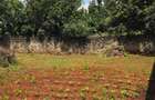 0.25 ac Land at Nyati Drive - 4