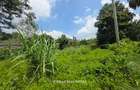 0.5 ac Land at Muthithi Gardens - 5