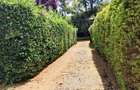 4 Bed House with En Suite in Kiambu Road - 8