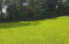 0.25 ac Land in Runda - 2