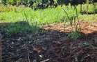Residential Land at Thome. - 5