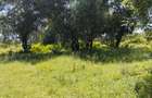 100 ac Land at Thika Road - 2