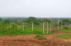 Land in Kilifi County - 3