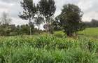 Residential Land in Redhill - 3