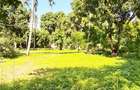 Land at Mtwapa - 16