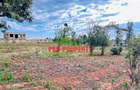 0.05 ha Residential Land at Lusingetti - 4