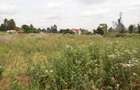 0.125 ac Commercial Land at Muchatha - 2