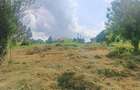 1,000 m² Residential Land at Riu-Nderi - 11