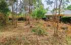 500 m² Residential Land at Gikambura Primary - 1