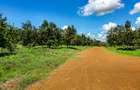 0.125 ac Residential Land at Gatanga Road - 11