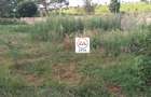 0.125 ac Land at Near Senior Chief Koinange High School - 5