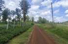 1,000 m² Land in Tatu City - 6