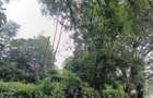 Residential Land at Paradise Lost/Mhasibu - 6