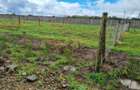 0.05 ha Residential Land at Kwa Saitoti - 4