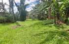 0.5 ac Land in Garden Estate - 2