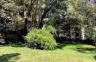 1.4 ac Land at Lenana Road - 2