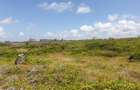 Land in Watamu - 9