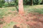 2.5 ac Residential Land at Old Kitisuru - 17