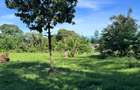 2 ac Land at Mtwapa - Animo - 6
