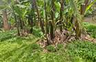 0.5 ac Land in Garden Estate - 1