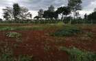 0.5 ac Residential Land at Runda Mumwe - 5