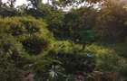 0.75 ac Land in Upper Hill - 10