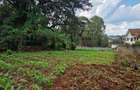 Land in Kitisuru - 5