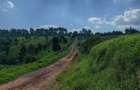 Land at Tigoni - 8